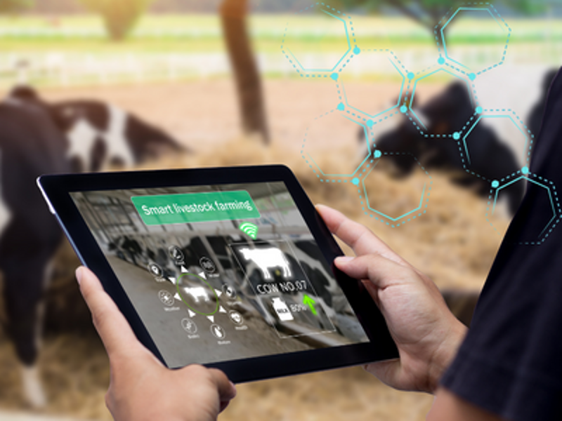 Smart Livestock Farming